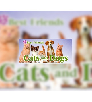 My Best Friends - Cats & Dogs Steam Key GLOBAL